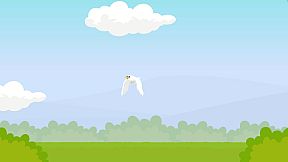 Play With Your Cat! - A Virtual Toy Box