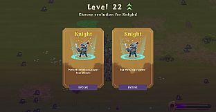Time Champions