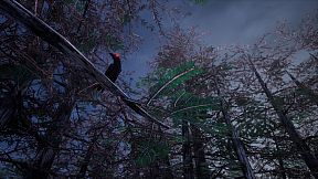 PAGO FOREST: TOWER DEFENSE