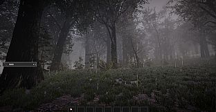 PROJECT D : Human Risen