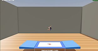Gymnastics Simulator