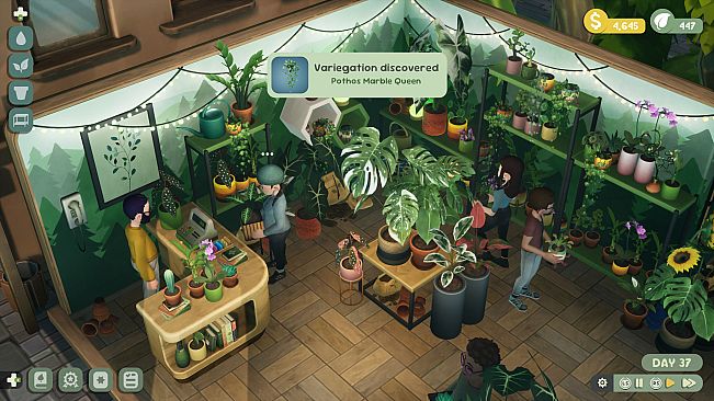 Leafy Corner