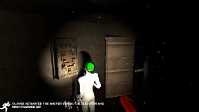 Handy Harry's Haunted House Services