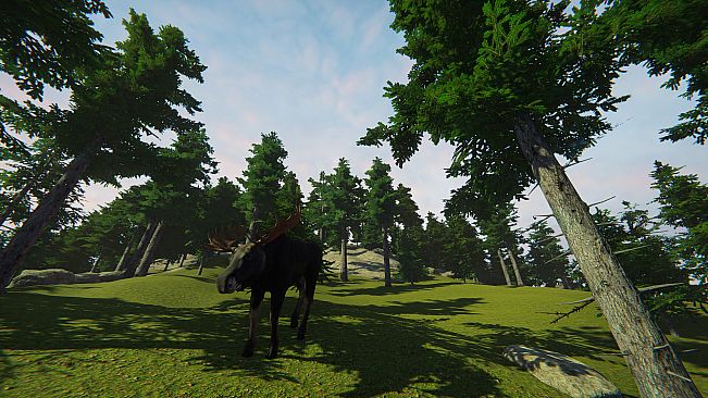 Nucleares - Island Fauna