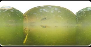 Exhale XR - Underwater Vibes