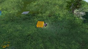 The Ball Flow - Nature and Light