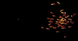 Goldfish Simulator