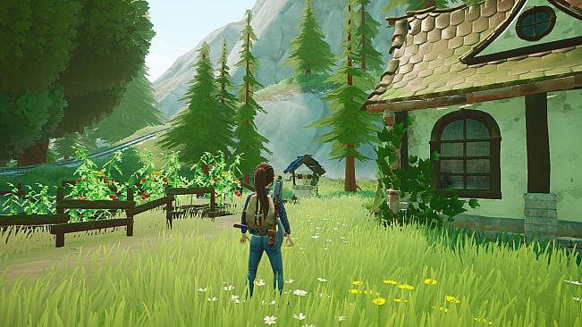 MeetLight and the secrets of the universe