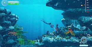 Dive and Dine Simulator