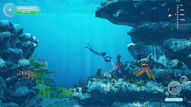 Dive and Dine Simulator