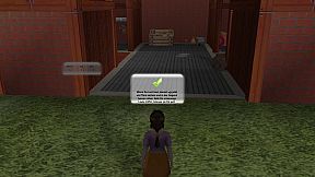 Die drei Freunde von der Reitschule