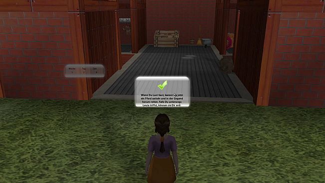 Die drei Freunde von der Reitschule