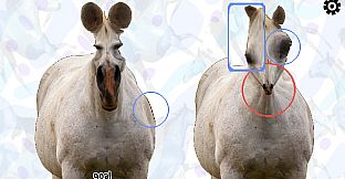 Horse Magnifier: The Full Horse