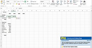 Professor Teaches Excel 2013 & 365