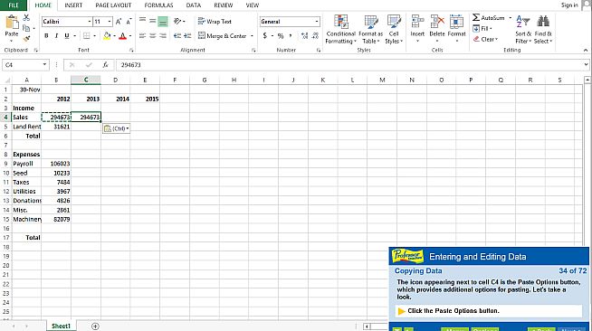 Professor Teaches Excel 2013 & 365