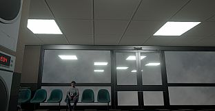 Laundromat Anomaly