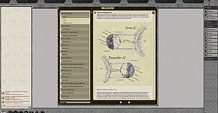Fantasy Grounds - A magical Society - Ecology and Culture