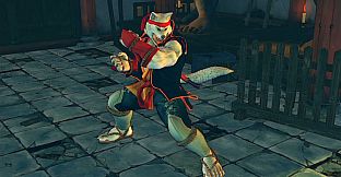 USFIV: Shoryuken Wild Pack