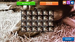 OG Memory: Kira Maus