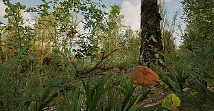 Forest Doesn’t Care