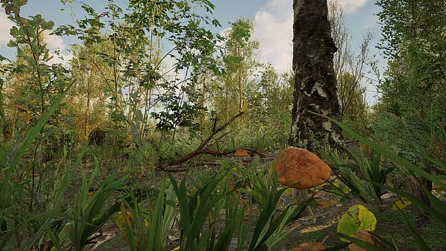 Forest Doesn’t Care