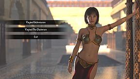 The Sultan and his Harem