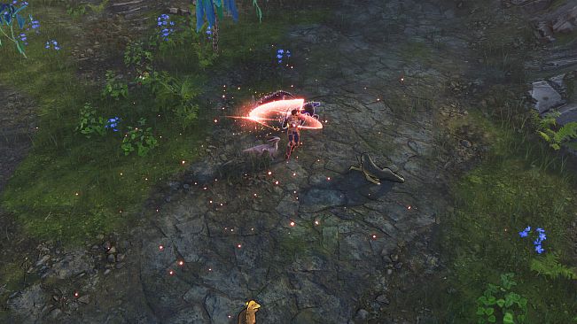 Coridden - Supporter Pack