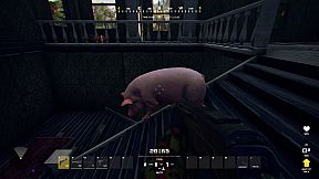 Resilience Wave Survival