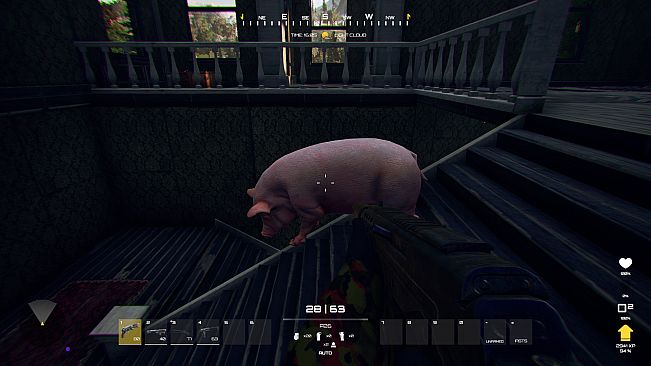 Resilience Wave Survival