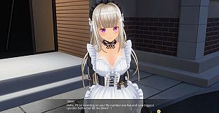 CUSTOM ORDER MAID 3D2&2.5 Character Pack S Strong-Willed