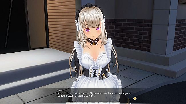 CUSTOM ORDER MAID 3D2&2.5 Character Pack S Strong-Willed