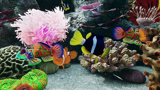 Sea Aquarium Screensaver