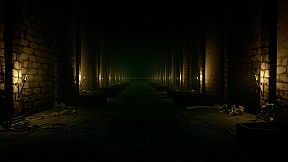 Life in the Twilight