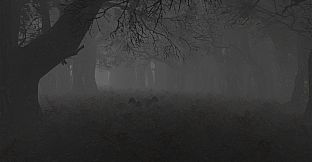 maze to the old castle