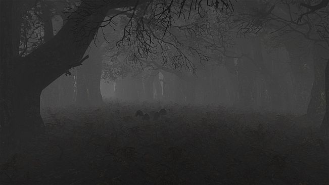 maze to the old castle