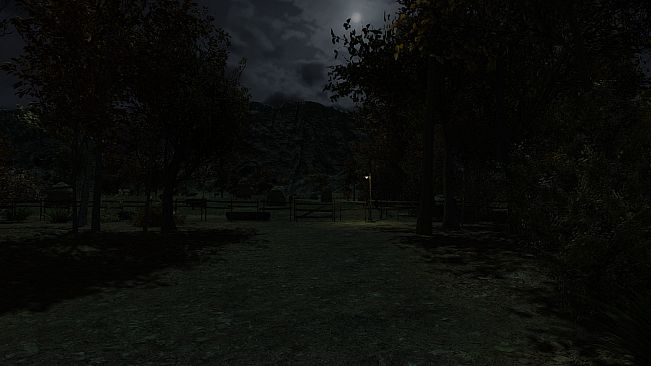 The Cows Are Watching