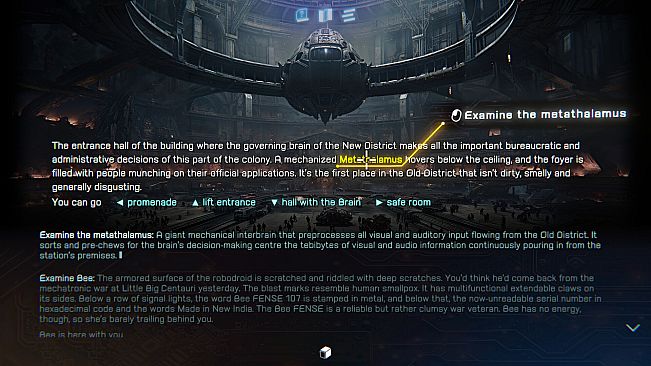 Universe Has No Favorites