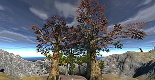 VR Meditation SkyRun