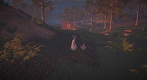 Legacy: the last pure heart