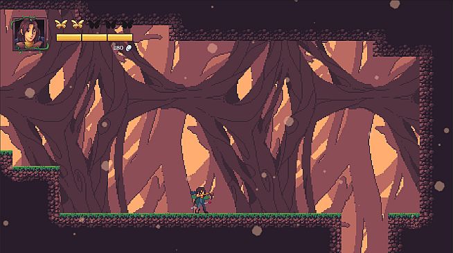 Garden of Butterflies