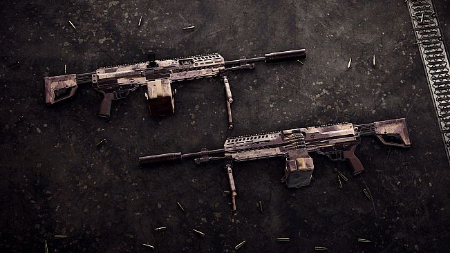 Insurgency: Sandstorm - Canyon Weapon Skin Set
