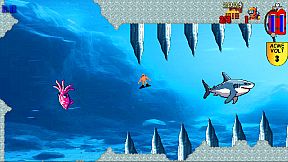 Shark's Treasures Adventure