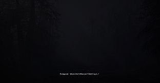 Echoes of Sin: Confusion