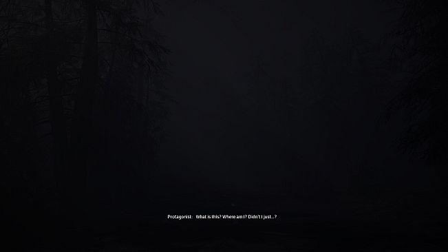 Echoes of Sin: Confusion