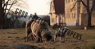 Good puzzle - Wallpapers