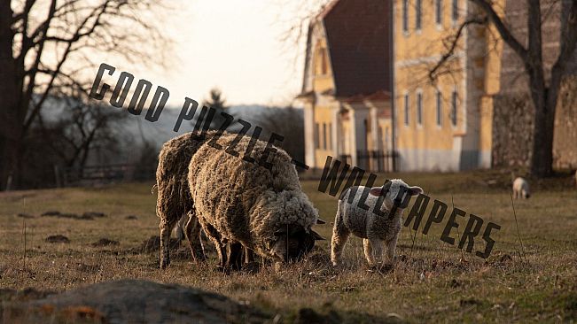 Good puzzle - Wallpapers