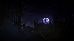 The Long Dark