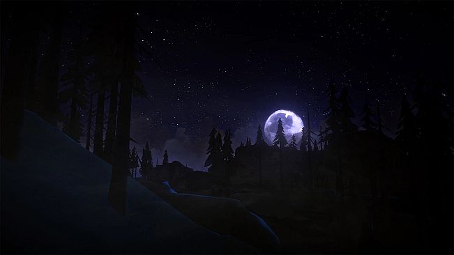 The Long Dark