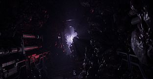 Directive 8020 Pre-order