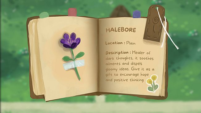 Floraison